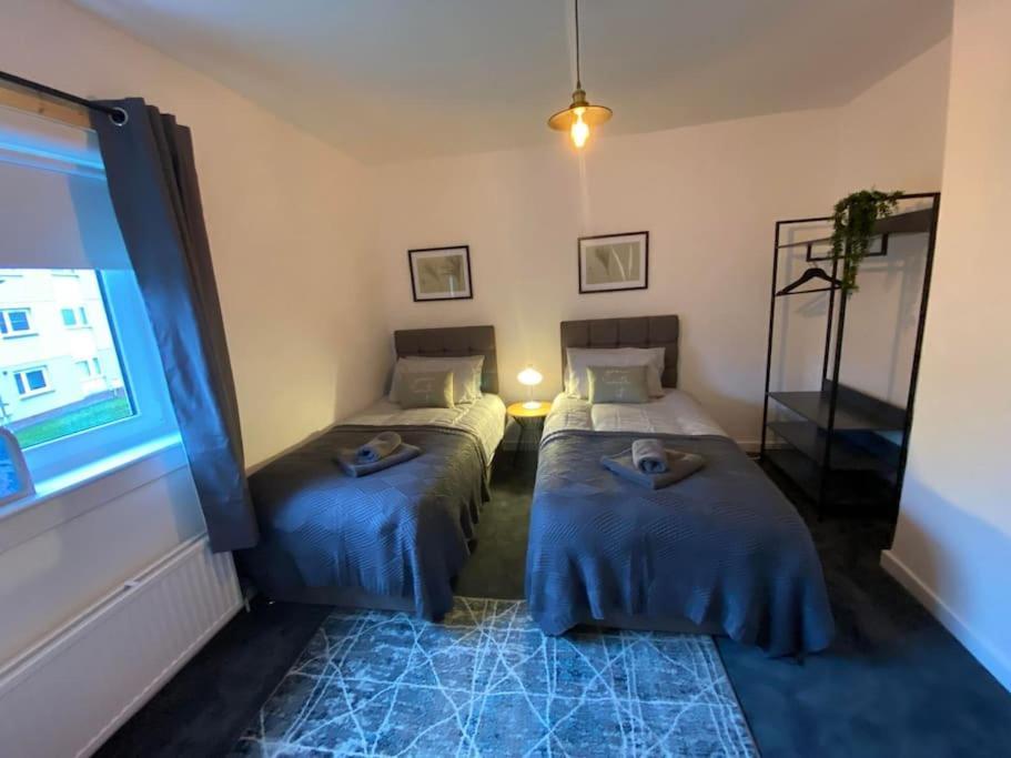 New Boutique 3 Bedroom Apartment In Hamilton Extérieur photo